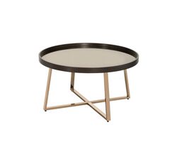Mirror Top Coffee Table with Slanted Crossed Metal Legs, Black and Gold