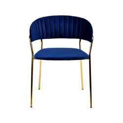 Fabric Upholstered Dining Chair with Metal Legs, Set of 2, Blue and Gold