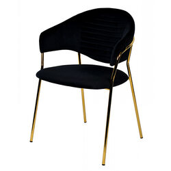 Fabric Upholstered Dining Chair with Metal Legs, Set of 2, Black and Gold