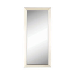 Rectangular Shaped Floor Mirror with Beveled Edge, Silver