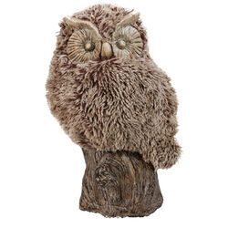 Distinctive Winsome Furry Owl, Brown