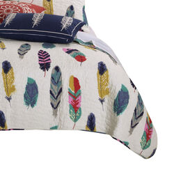 Boston 3 Piece Fabric Queen Size Quilt Set with Feather Prints, Multicolor