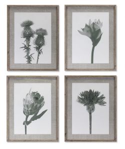 Framed Duotone Floral Prints, 4-Piece Set