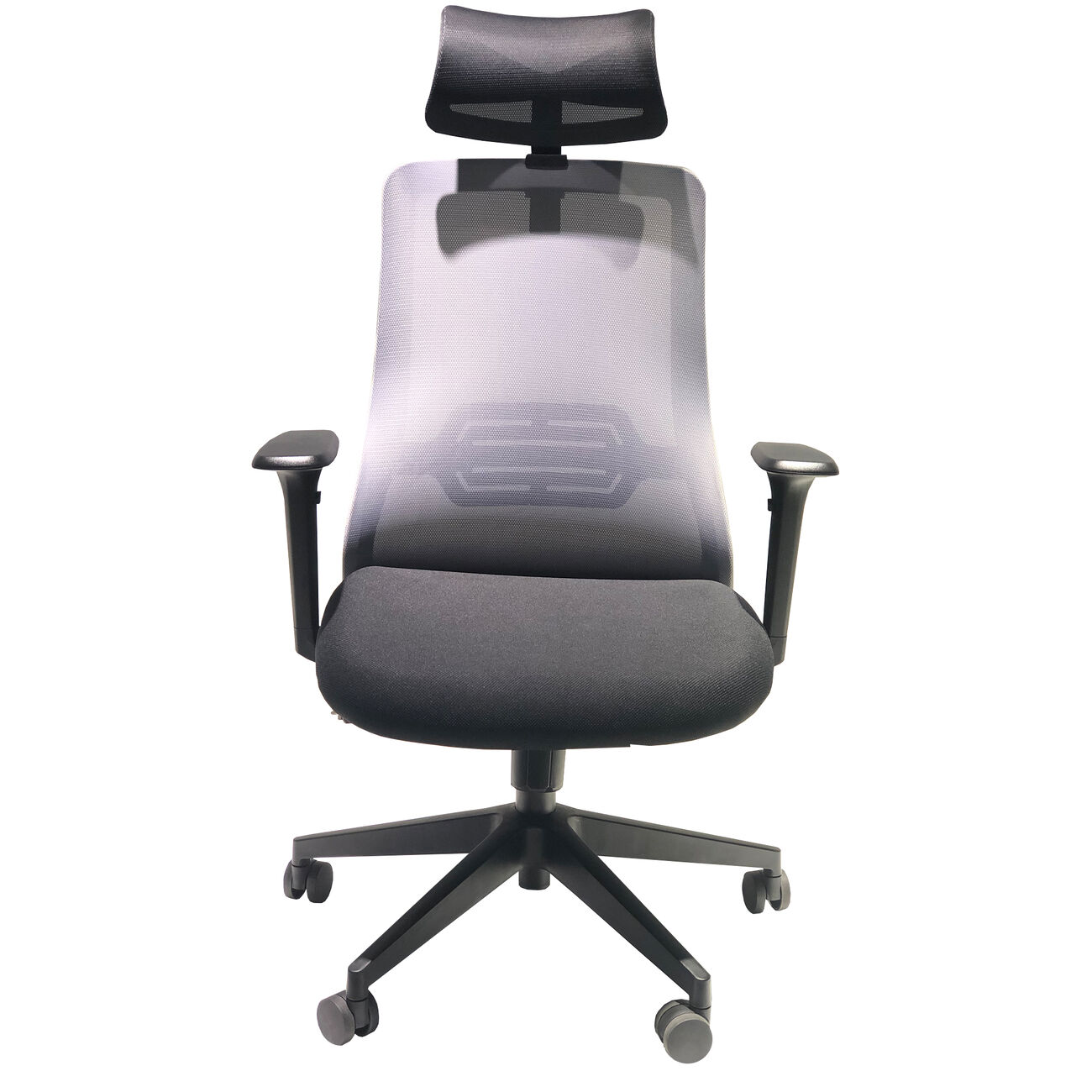 Adjustable Headrest Ergonomic Swivel Office Chair with Padded Seat and Casters, Black and Gray