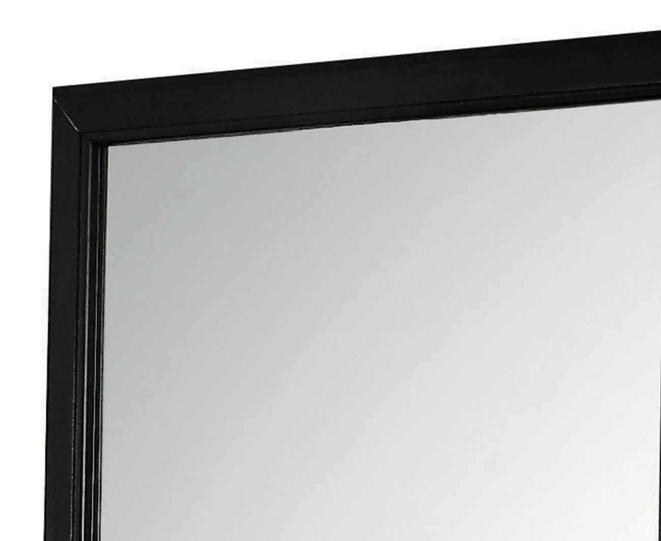 Transitional Style Mirror with Raised Wooden Frame, Black and Silver