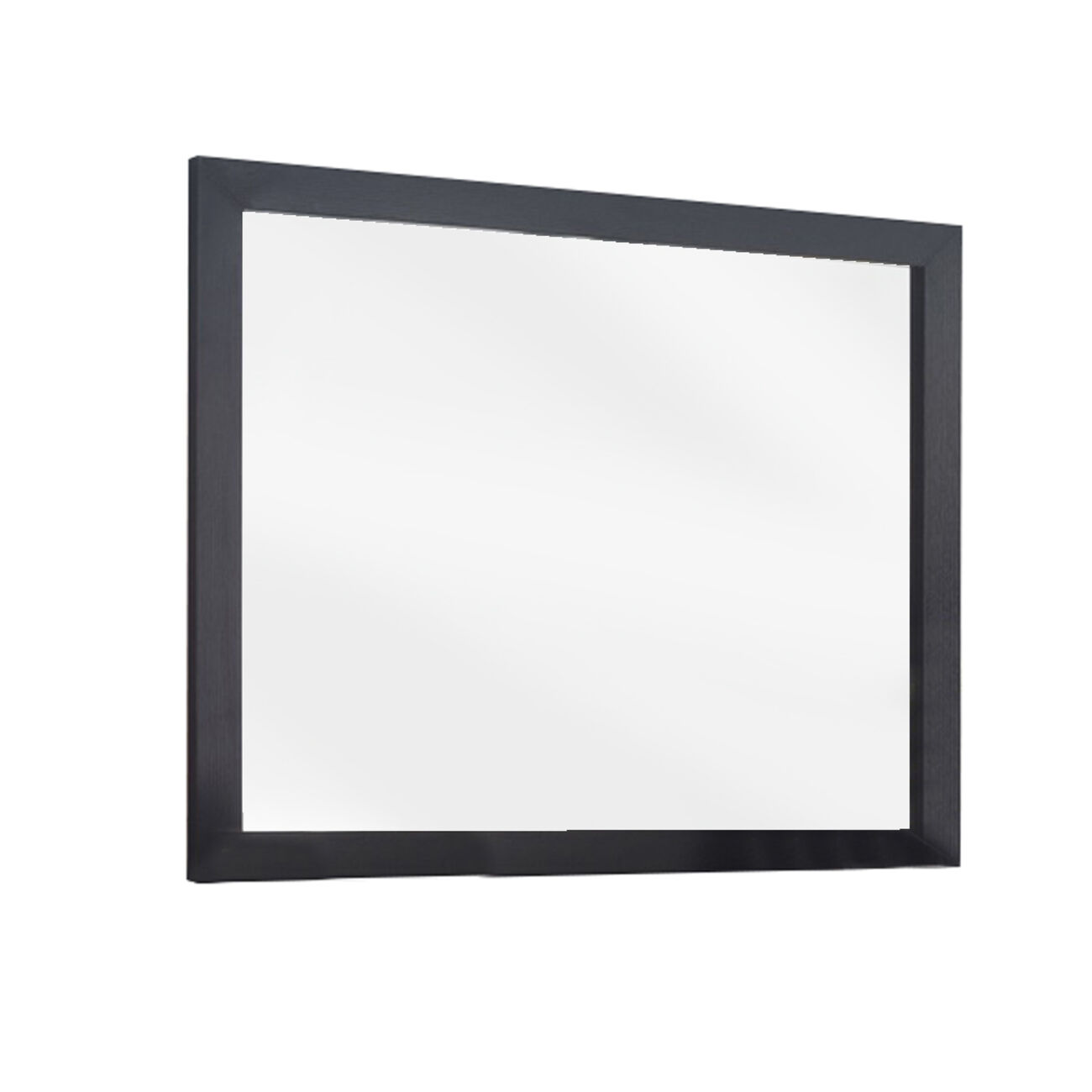 Transitional Style Rectangular Mirror with Wooden Frame, Black and Silver