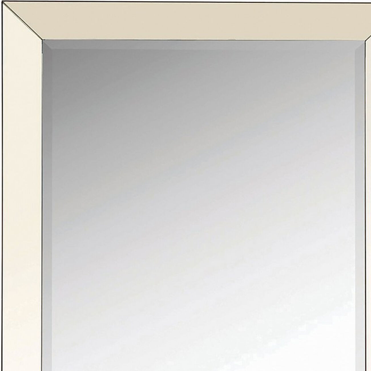 Rectangular Shaped Floor Mirror with Beveled Edge, Silver