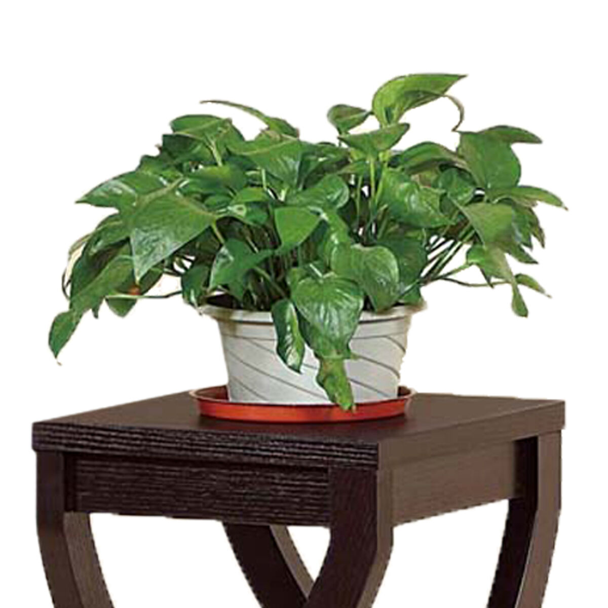 Elegant Design Medium Plant Stand, Dark Brown