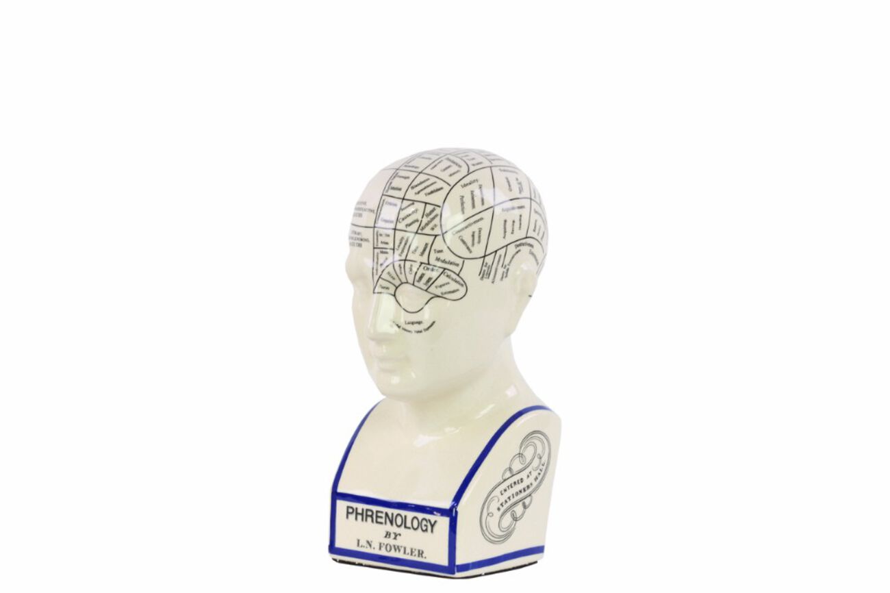 Ceramic Phrenology Bust with Printed Labels, Small, Glossy White